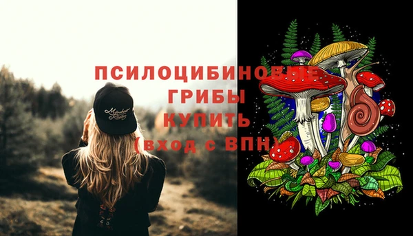 стафф Аркадак