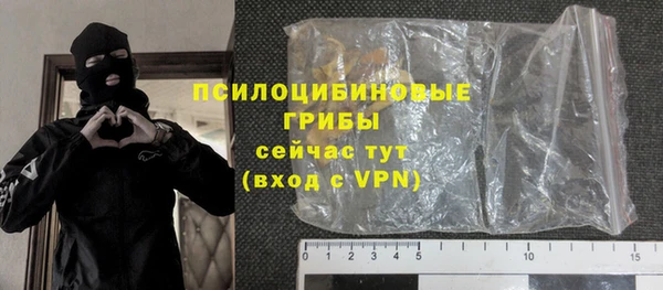 индика Армянск