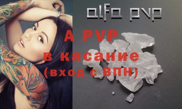 стаф Баксан