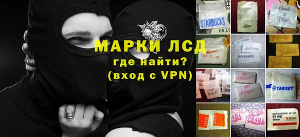 стаф Баксан