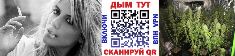 omg маркетплейс  где купить наркоту  Кубинка  Бошки марихуана LSD WEED 